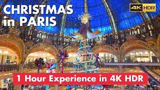 Paris France  Christmas Walk Tour 4K HDR