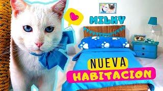 Gatito Vago estrena NUEVA Michi HABITACION completa para el solito! ️Le hago su CAMA! 