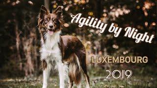 Agility by Night Luxembourg 2019 - Dani Lehrer & Tippi
