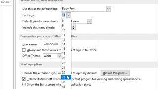 How to Change the Default Font in Excel 2024