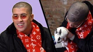 Bad Bunny Gets Surprised With Bunnies (While Answering Fan Questions)