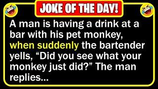  BEST JOKE OF THE DAY! - A guy walks into a bar with his pet monkey...  | Funny Daily Jokes