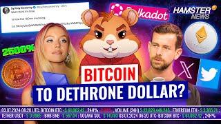 Sydney Sweeney's X Hack, Polkadot's Ecosystem Fail & Bitcoin 's World Dominance ️ Hamster News