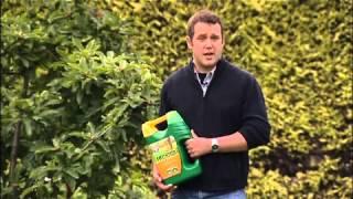 How To Use EverGreen Autumn Lawn Care