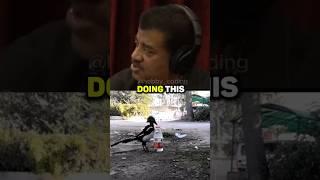 Birds are Evolving FAST  w/ Neil Degrasse Tyson #shorts