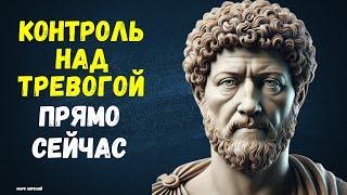 Стоические решения для борьбы с тревогой и стрессом  Проверенные философские практики