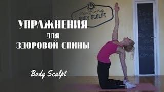 Комплекс упражнений для здоровой спины #BodySculpt