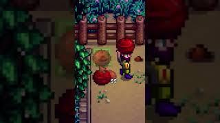 This Almost Made Me Quit Stardew Valley