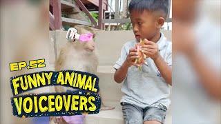 Best Animal Voiceovers - Ep. 52