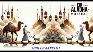 What is Eid ul Adha?/bakra eid 2024/mhb channel01