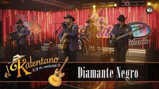 El Kalentano Y Su Norteño - Diamante Negro