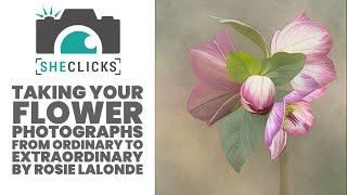 Taking your Flower Photographs from Ordinary to Extraordinary by Rosie Lalonde