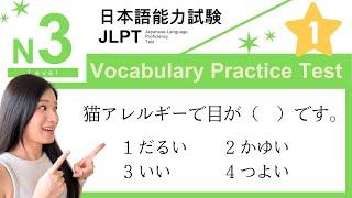 JLPT N3 Vocabulary Practice Test with Answers and Explanations