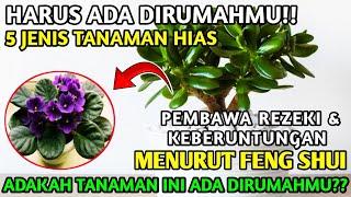 6 Jenis Tanaman Pembawa Rezeki dan Keberuntungan Menurut Feng Shui - Hoki Tv