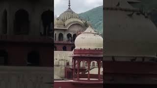 moosi maharani ki chatri Alwar ||️️new vlog video//WhatsApp status video ️ #youtubeshort  #india