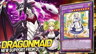 Deck Dragonmaid| EDOPRO | Replays  + Decklist ️