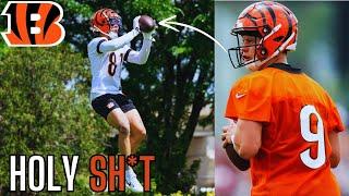 The Cincinnati Bengals Are BLOWN Away By These Players At MINICAMP... | Bengals News |