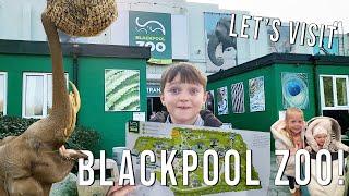 Blackpool Zoo - LET'S EXPLORE