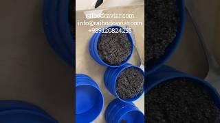 Original Beluga caviar packaging |1kg #caviar #caviarforsale #fish