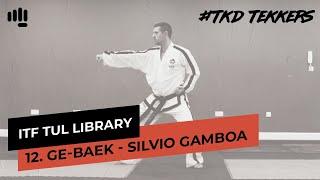 12. Ge-Baek (TKD Tekkers)