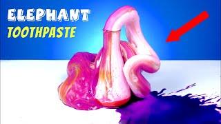 The Elephant Toothpaste Science Experiment