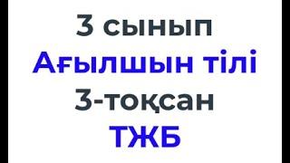 3 сынып Ағылшын тілі 3 тоқсан ТЖБ