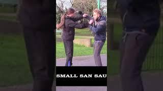 Tai Chi Combat Training // Small San Sau #Shorts