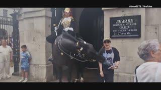 Buckingham Palace horse goes viral for biting tourist on video