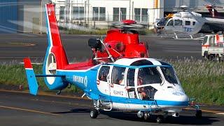 Helicopter Action: Tokyo Heliport AS365,EC135, R66, H145 and more