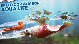 SPEED COMPARISON 3D | Aqua Life 