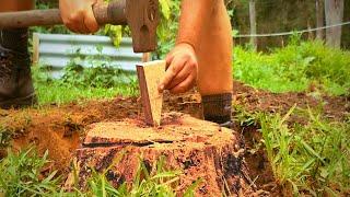 How to Remove a Tree Stump with a Wedge