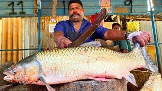 KASIMEDU  SPEED SELVAM | VERY RARE ROGU FISH CUTTING VIDEO | IN KASIMEDU | FF CUTTING 