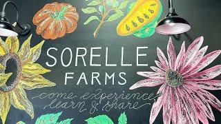 A Trip To Sorelle Farms- And A Surprise! 