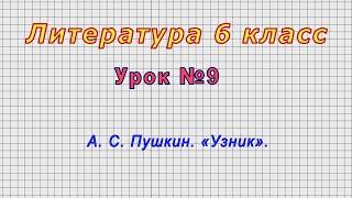 Литература 6 класс (Урок№9 - А. С. Пушкин. «Узник».)