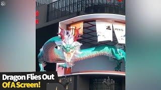 Incredible 3D Display Showing Dragon Flying Out Of A Screen