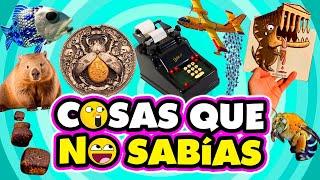  ¡ 30 DATOS CURIOSOS y COSAS QUE NO SABÍAS ! ⏰️ #38