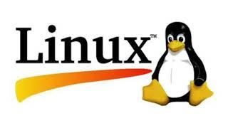 How To Run Windows Programs ON LINUX 2021 (Using PlayOnLinux / Wine, or Mono)