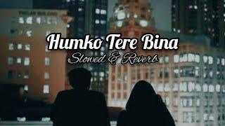 Humko Tere Bina Jeena Toh Sikha (Slowed & Reverb)