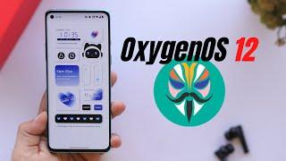 Root Stable OxygenOS 12 Oneplus 8, 8 Pro & 8T - Step by Step Guide