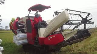 Mesin Combine Yanmar Aw 82V Alat Panen Padi Petani Indonesia