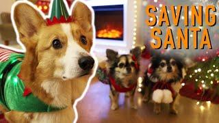 SANTA IN TROUBLE - Topi the Corgi