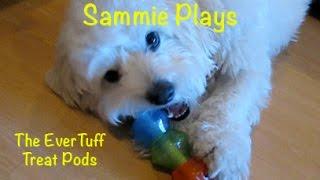 Sammie Plays #1: The EverTuff Treat Pods