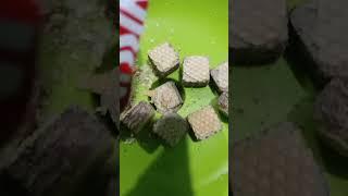 cubee wafer #trending #ytshort #shortvideo #video