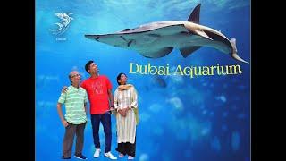 Dubai Aquarium | Dubai Mall | October 2022 #dubaiaquarium