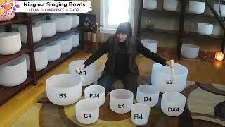 Emily's E3 Set with Nature Sound Set of Crystal Singing Bowls