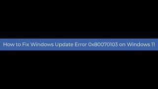 How to Fix Windows Update Error 0x80070103 on Windows 11?