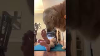 Dog licking blonde girls feet