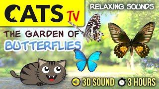 GAME FOR CATS -  Butterflies compilation  Relaxing Sounds  [CATS TV] 3 HOURS