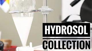 Hydrosol Collection Method for Solventless Terpenes