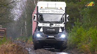 Großaktion Hackschnitzel Produktion Teil 1 Holzverladung im Wald - Holztransport mit Spezialfahrzeug